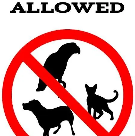 شقة - Lissa سفينويتشي